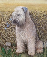Dina